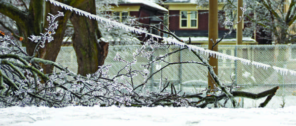 Ice on downed power lines admist fallen branches