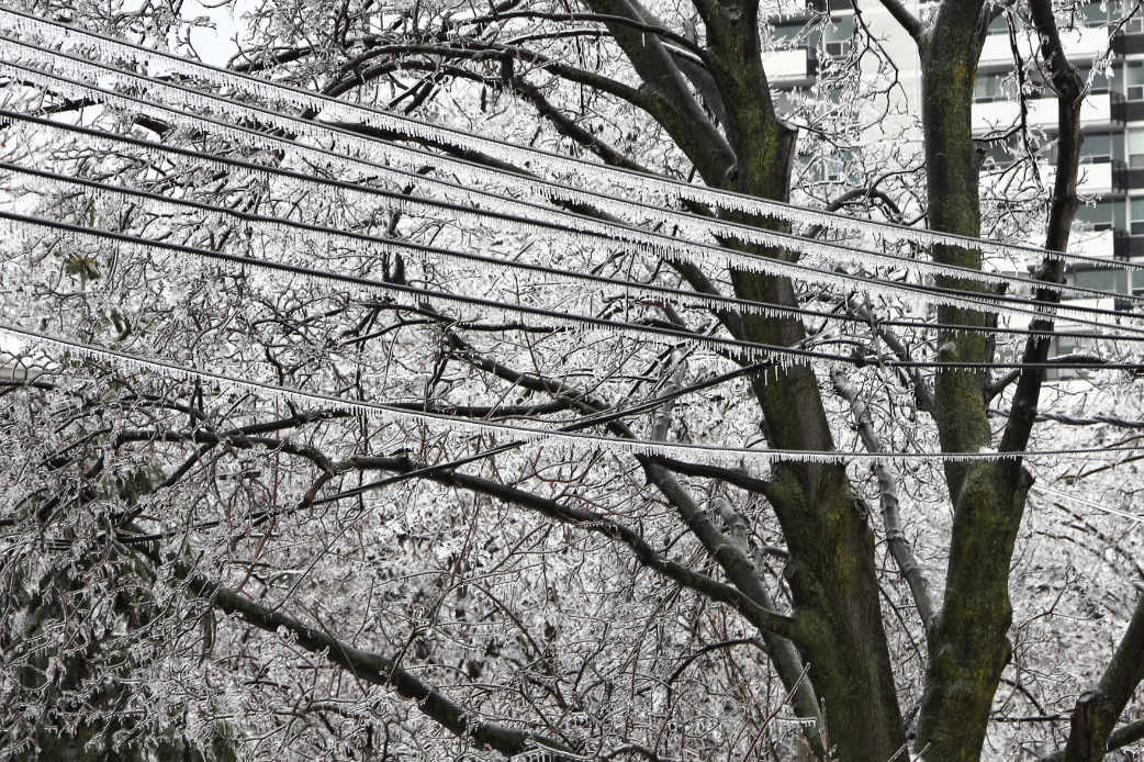 hydro lines covered in ice