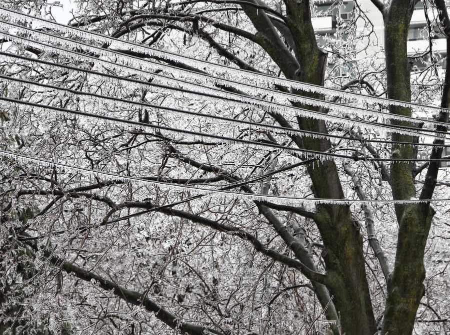 ice accomulates on wires