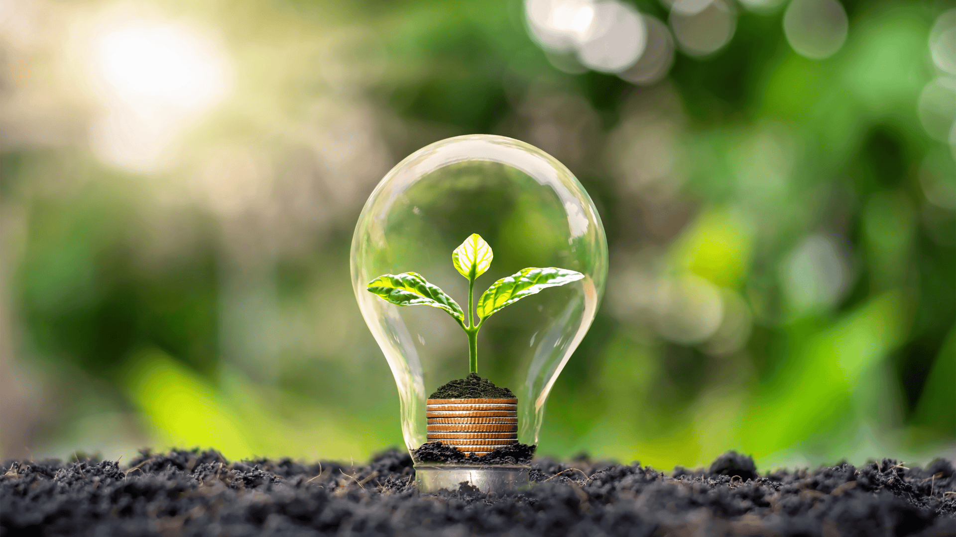 A small plant grows from a stack of coins inside a glass lightbulb, placed on soil with a blurred green background.
