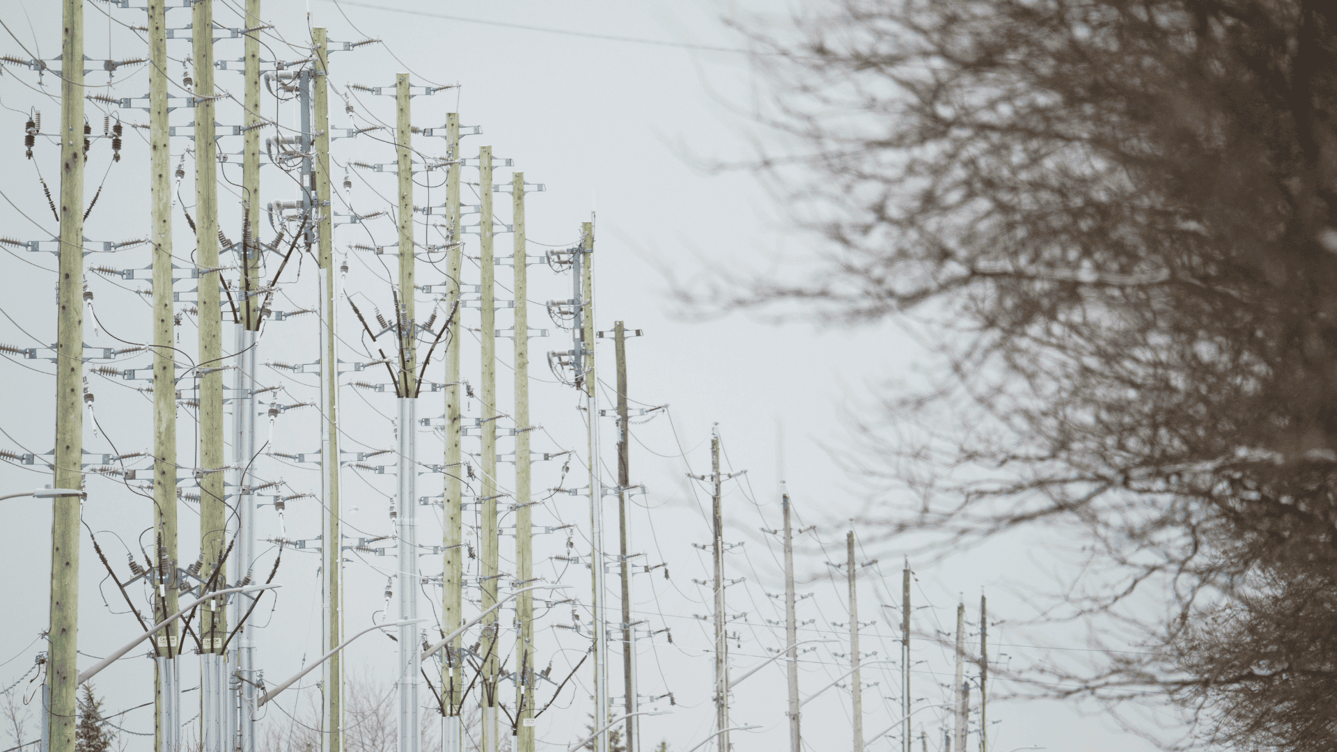 Rows of telegraph poles with power lines run alongside bare winter trees under an overcast sky.