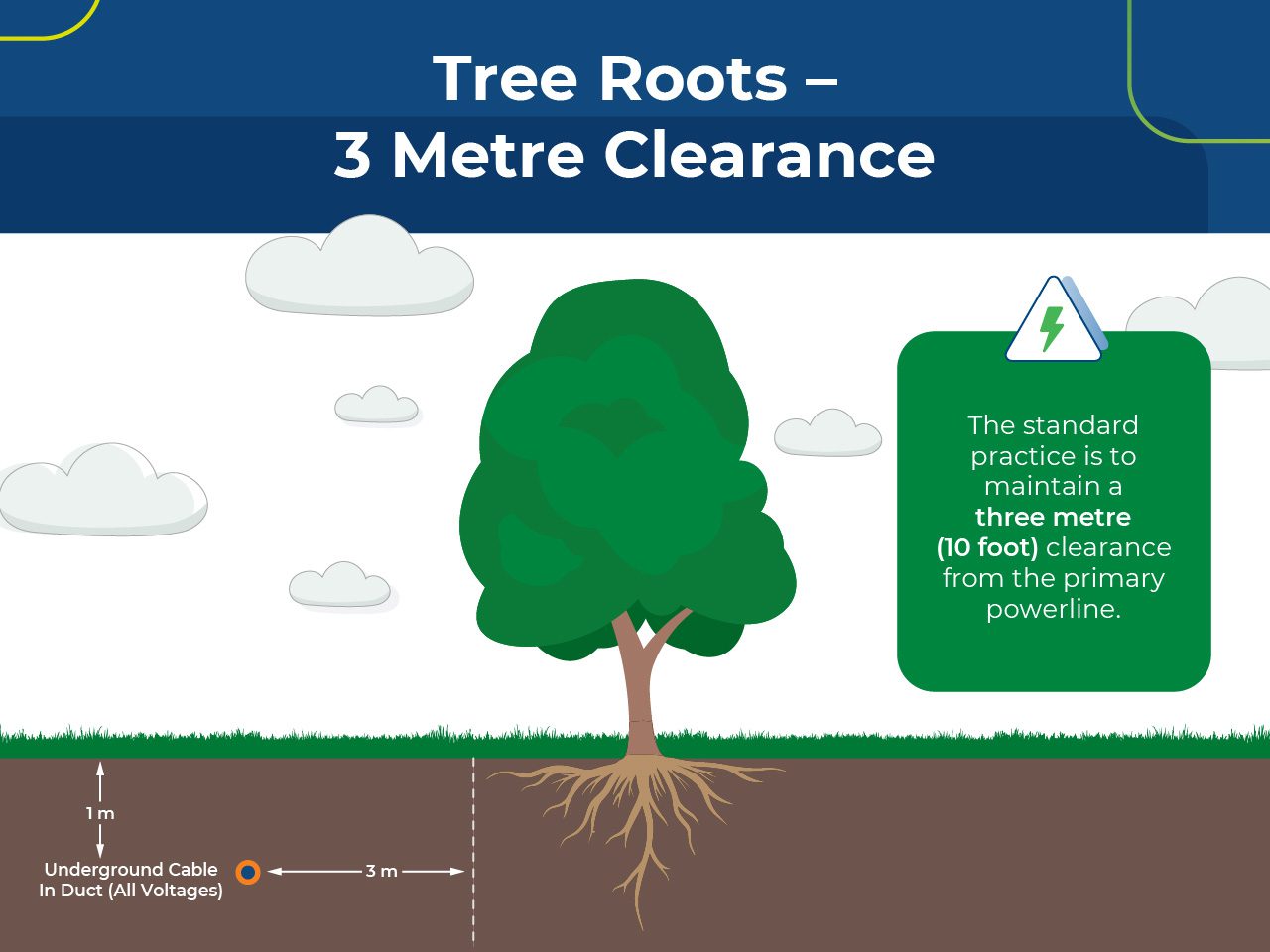 Illustration of a tree showing roots with a labelled 3-metre clearance from an underground powerline, and safety notice.