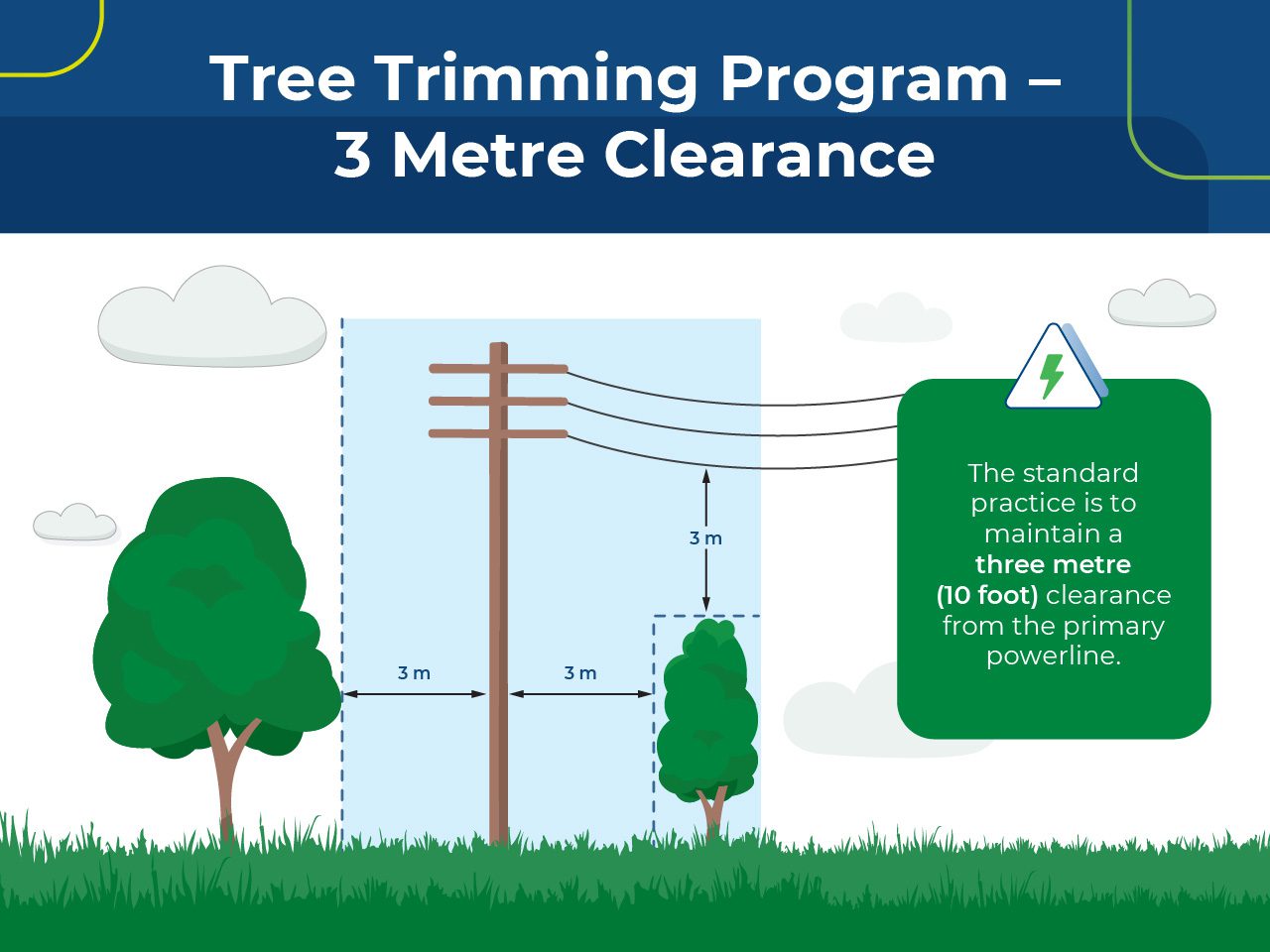 Diagram illustrating a 3-metre clearance required between trees and overhead powerlines as part of a tree trimming programme.